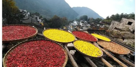 哪些因素可以显示出一个地域的特色