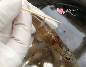 食补养生白灼虾的简单做法