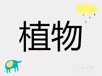 商标起名技巧有哪些？