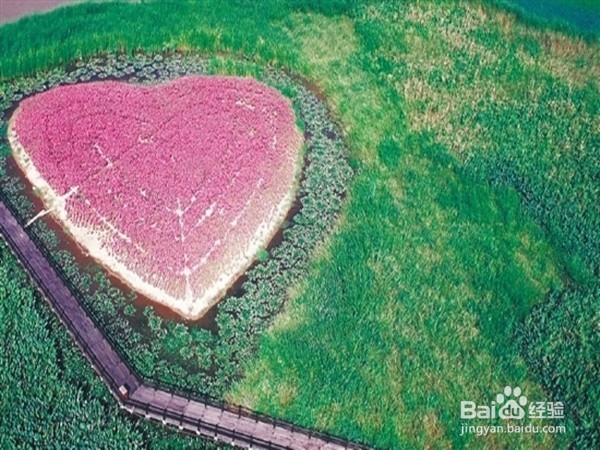 简单又浪漫的求婚方式