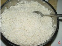 香香的蜜枣粽子