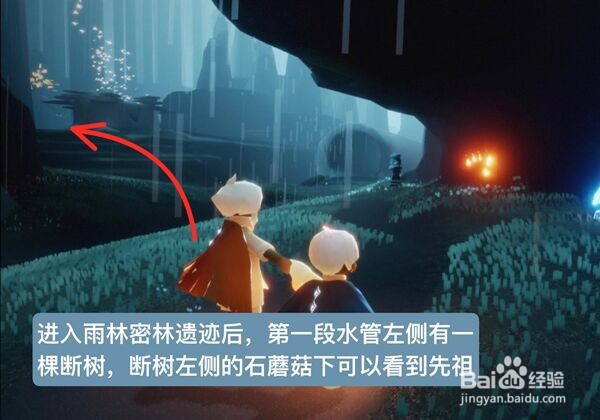 光遇雨林跪拜先祖位置