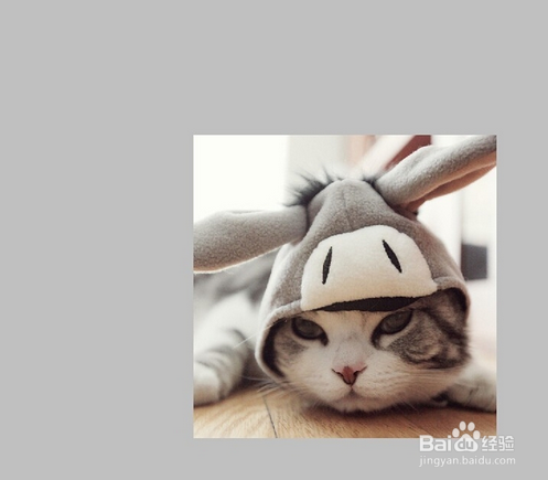 Ps如何固定裁剪图片