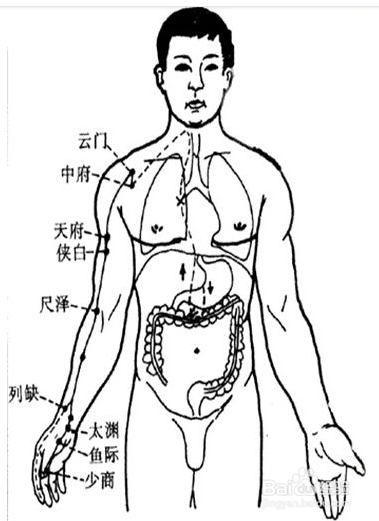 止咳排痰有效的保健方法