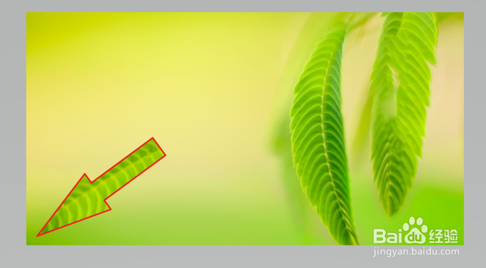 Windows10电脑画图3D绘制的图片有灰色边缘