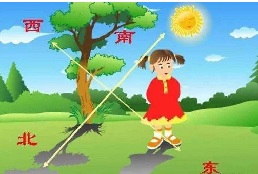 下午放学，面向太阳，前面是什么方，后面是什么方，左面是什么方，右面是什么方
