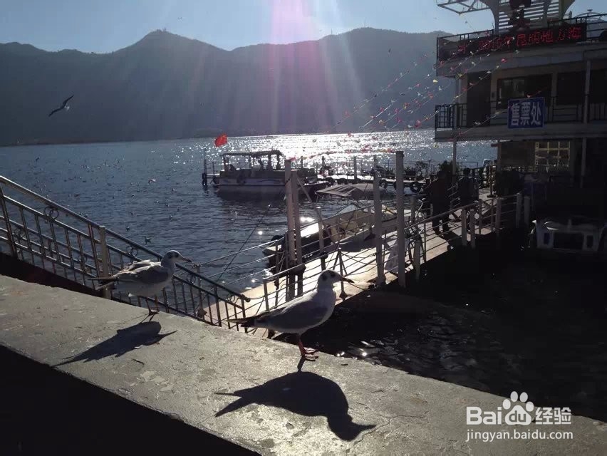 昆明冬季一日游攻略