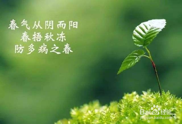 春天哪些关节我们必须好好“捂”，这样才更健康