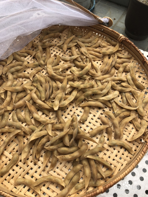 如何做好自制零食毛豆干