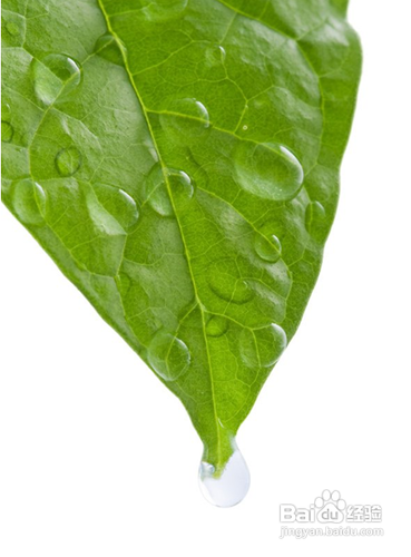 面部过敏的解决方法，到底该如何摆脱过敏