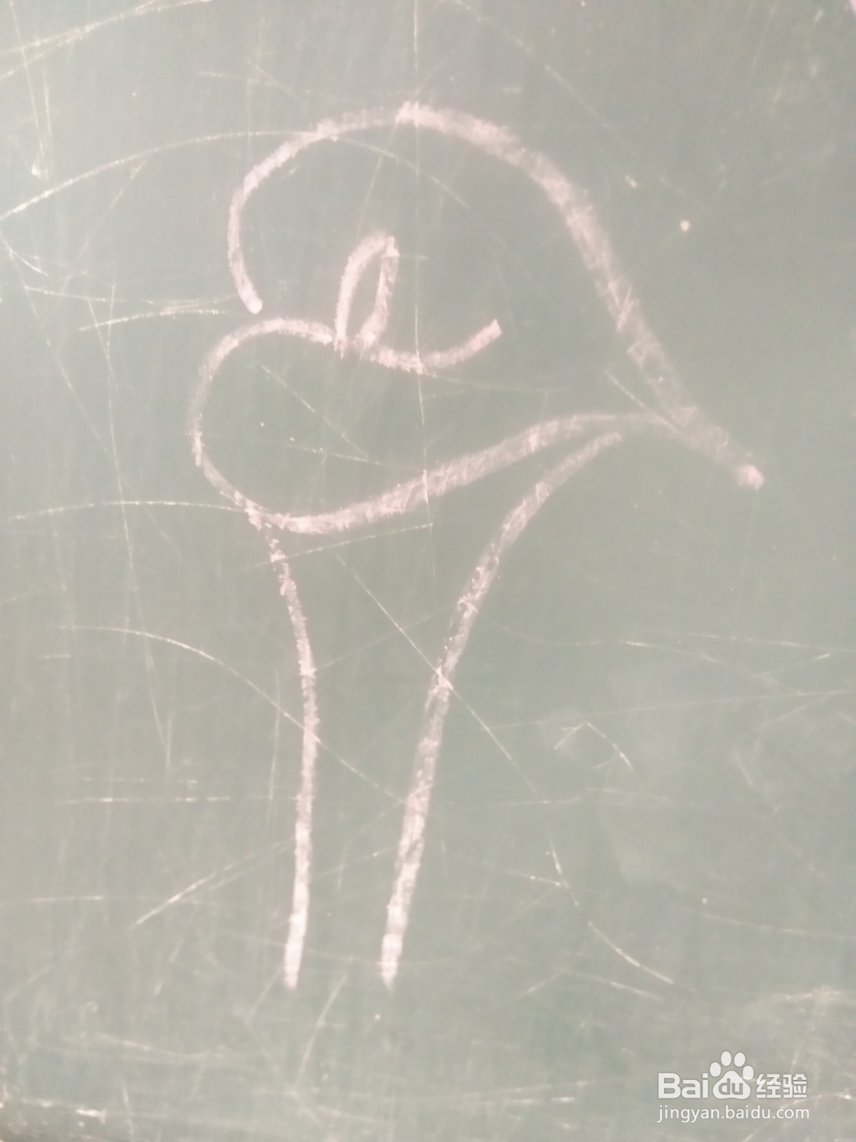 巧手画花“红掌的简笔画法”