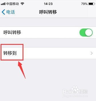 苹果手机呼叫转移在哪里设置
