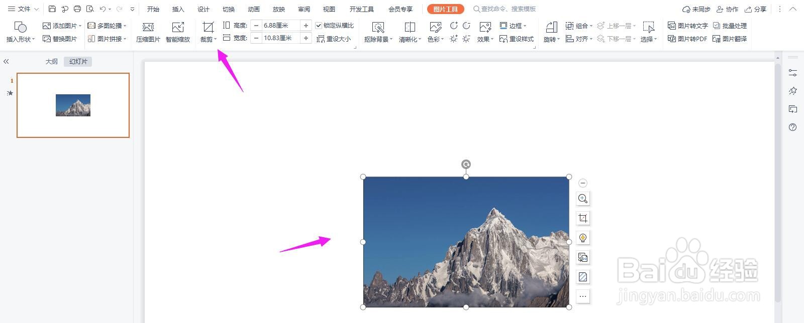 PPT图片怎么裁剪成莲花形状