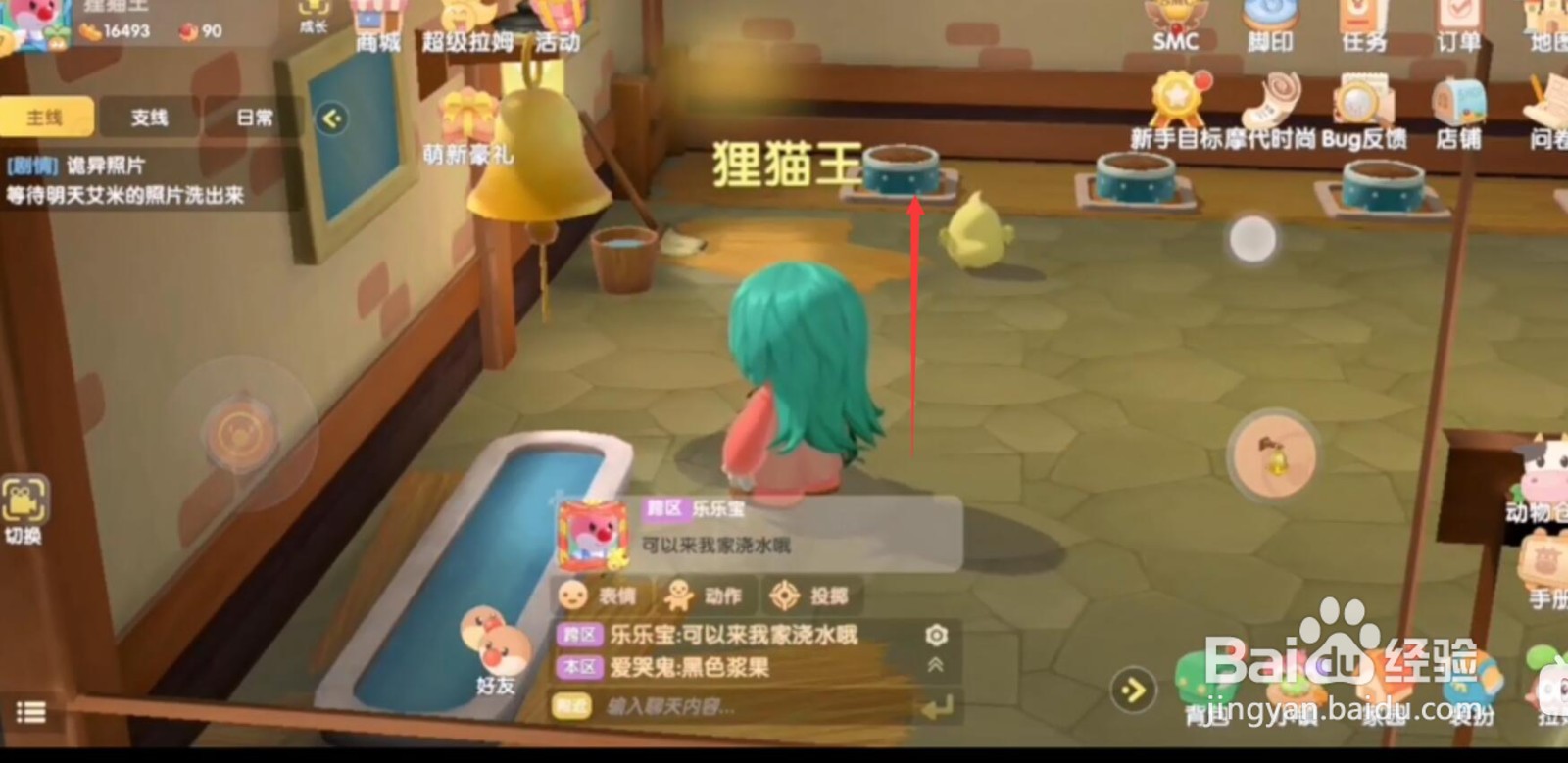 摩尔庄园如何喂小鸡