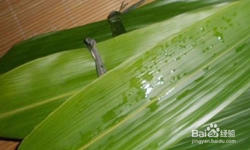 冰箱冷冻过的粽子叶怎么处理