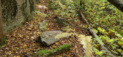 photoshop制作木头质感特效文字