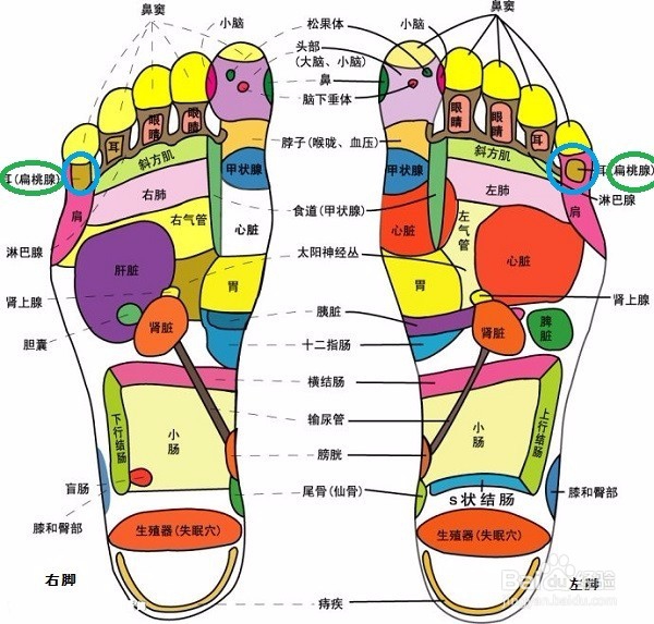 鼻子部位的疾病怎么办