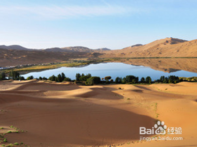 中卫沙坡头风景区游玩线路