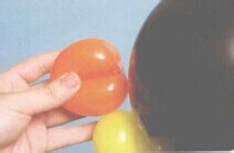 魔法气球造型系列之气球小企鹅