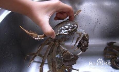 小河蟹怎么处理干净