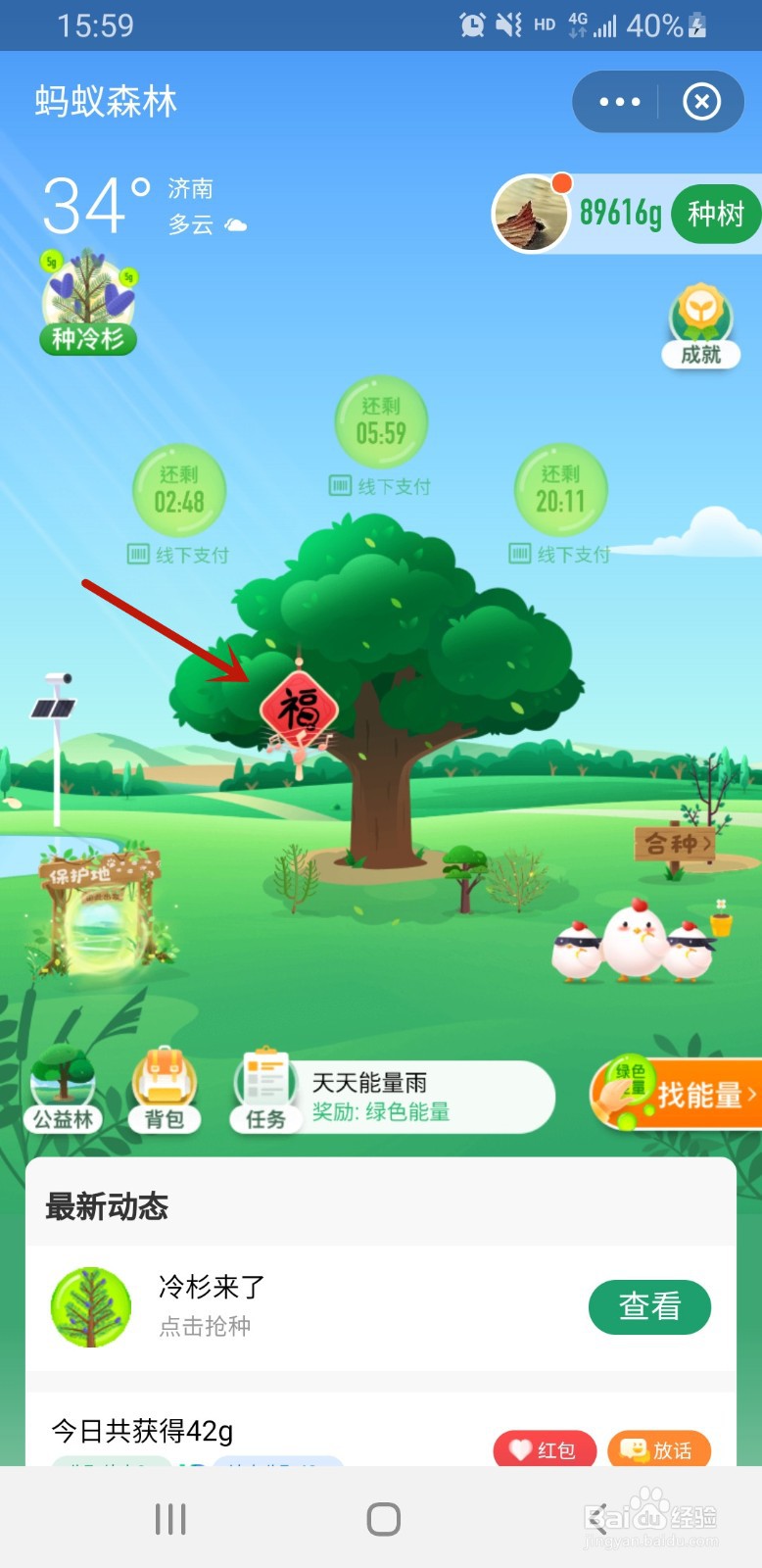 支付宝的蚂蚁森林如何装扮大树