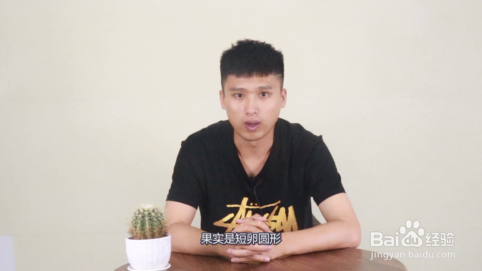 荔枝品种怎么区分