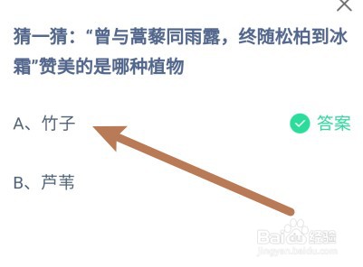 蚂蚁庄园:“终随松柏到冰霜”赞美的是哪种植物