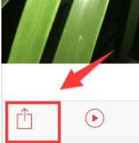 live图片怎么发给别人