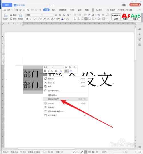 WPS文字中怎样使用合并字符制作文头？