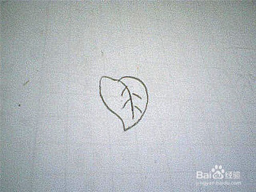 简笔画绿萝叶子这样画