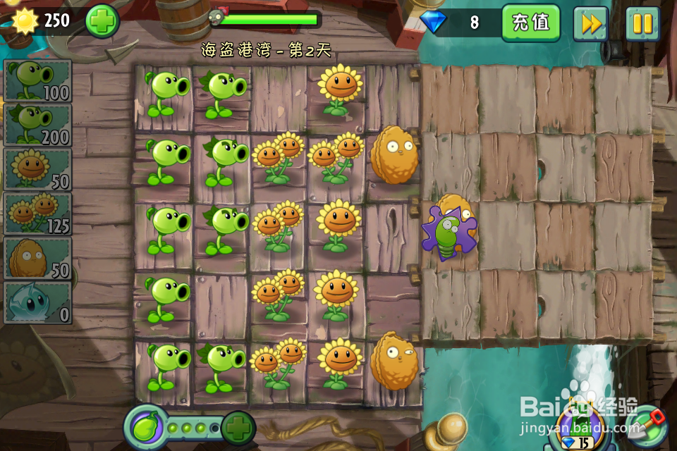 植物大战僵尸2:第2天(海盗港湾)