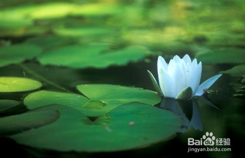 积极有效的道德修养方法