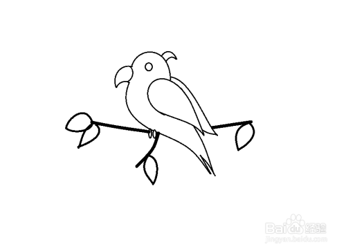 怎么简单画鹦鹉