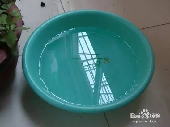 新装修房子怎么才能除去甲醛