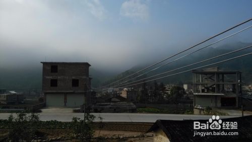 铁观音的制作过程