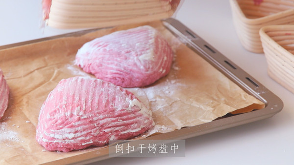 乳酪火龙果软欧包