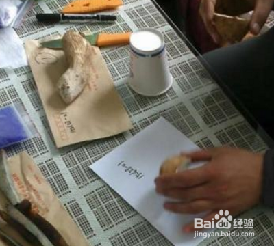 孢子印的制作？