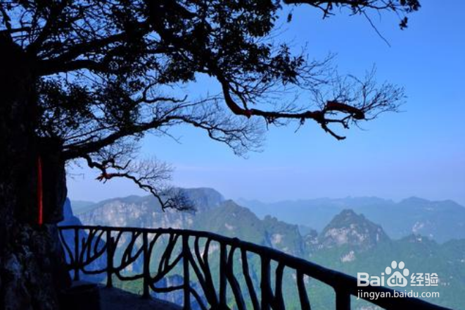 张家界天门山游玩攻略