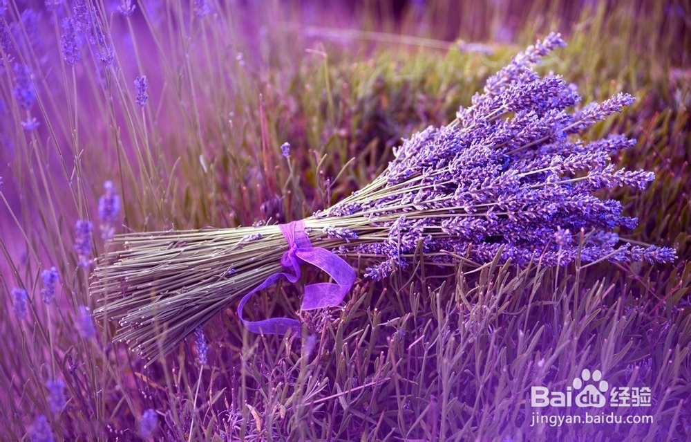 什么是驱蚊手工皂？