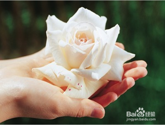 拍结婚照需要注意的细节