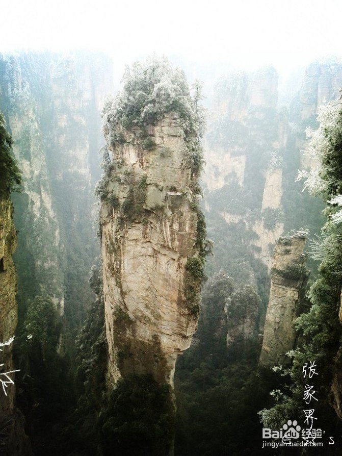 2016张家界旅游攻略实用攻略+费用+小贴士+游记