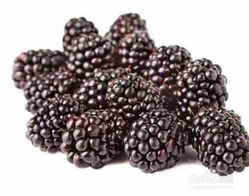 桑葚有哪些功效?