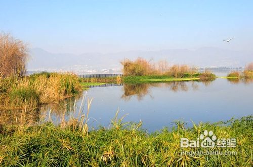 高原明珠滇池之旅