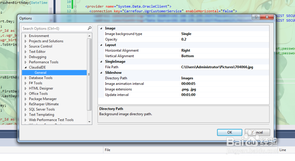 vs2013 英文版设置背景图片