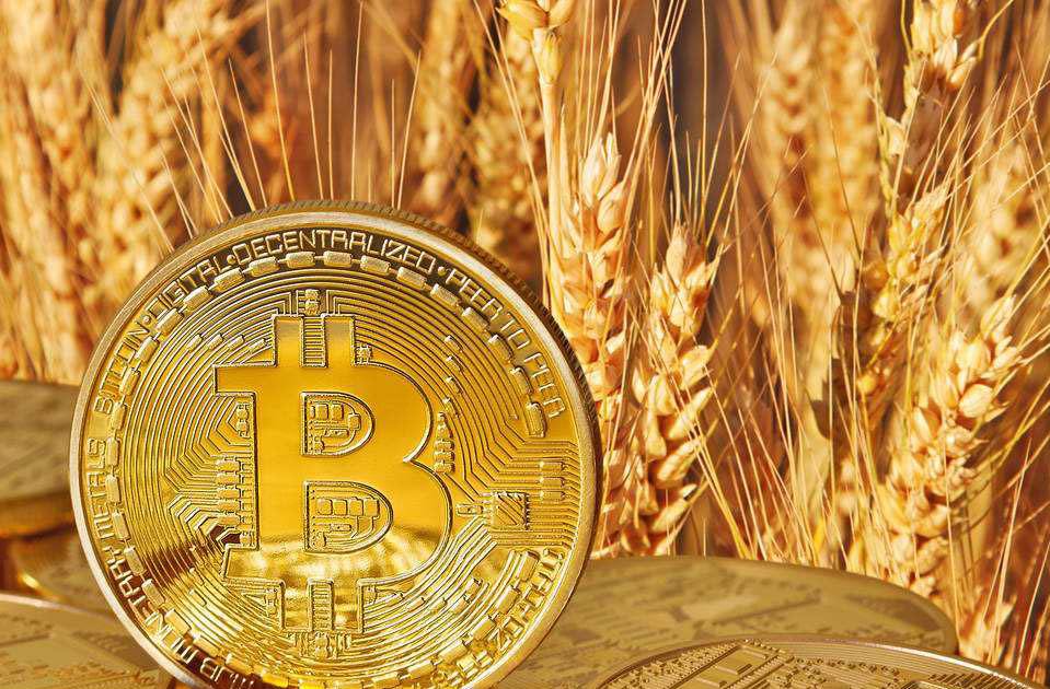 比特币到底是什么东西