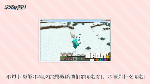 我的世界北极熊怎么驯服