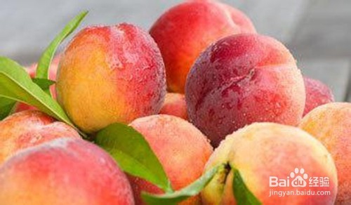 夏季适合吃什么水果