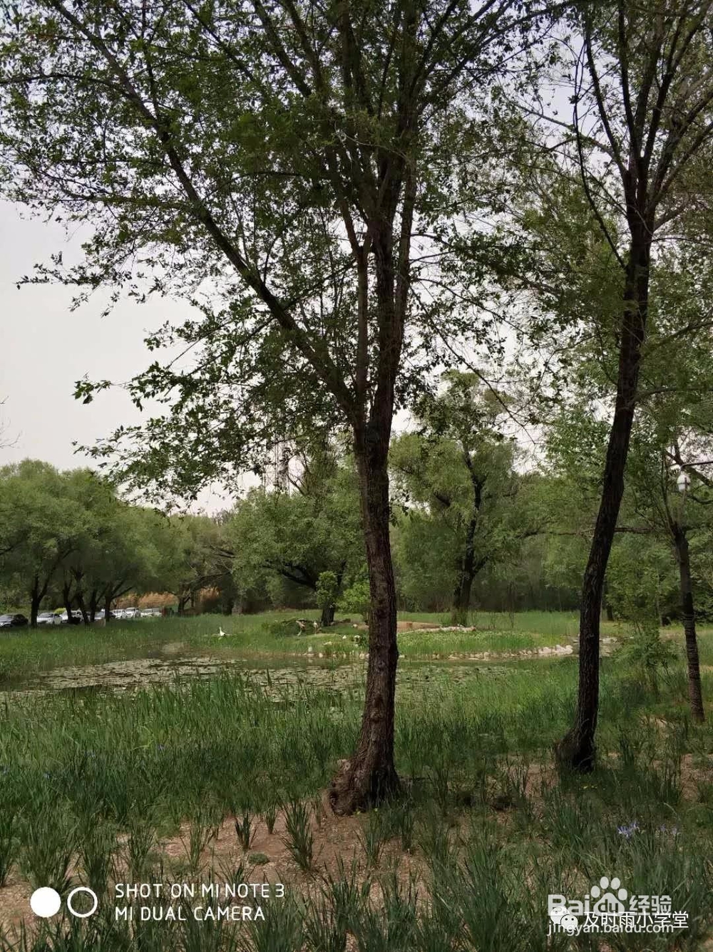 北京野生动物园一日游