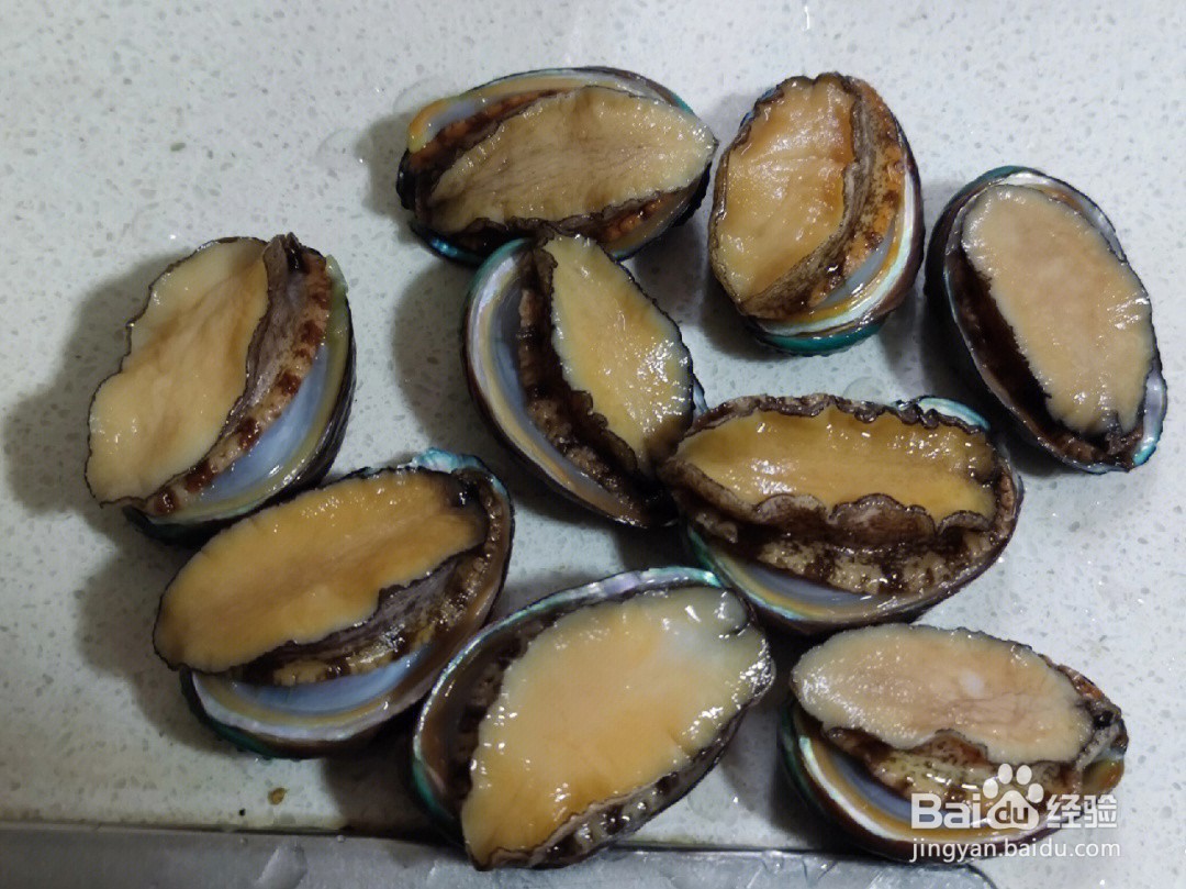 鲍鱼属于以下哪一类动物