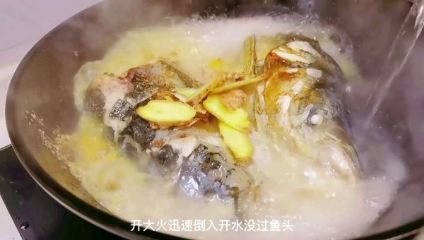 奶白雄鱼鱼头汤